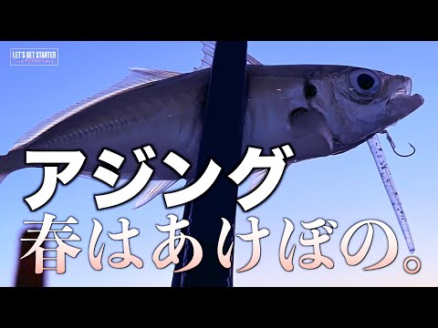 🔰アジング【春はあけぼの。朝まずめの逆転サヨナラ！】Vlog.126 Take her AJING Fishing