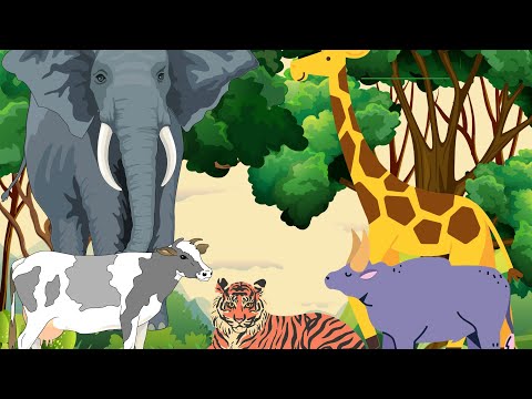 Big Animals in the World - giraffe elephant tiger buffalo cow - animal sounds