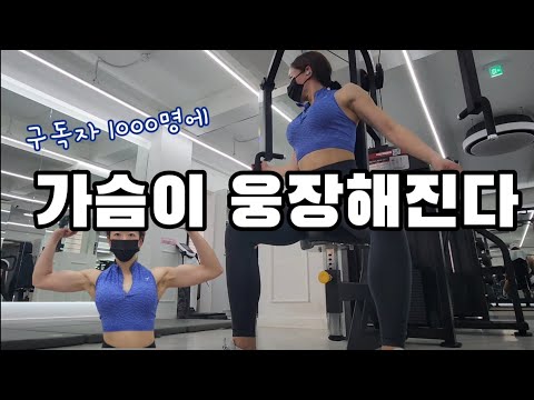 세트는 적게 집중력은 높게 | 여자 상체 운동 브이로그