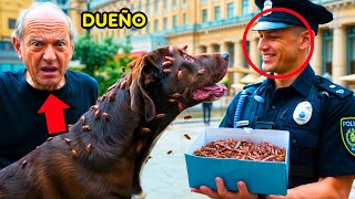 POLICÍA SUELTA GARRAPATAS EN EL PERRO NEGRO SIN SABER QUIÉN ERA EL DUEÑO...