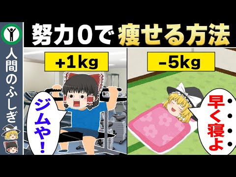 【激やせ注意】努力ゼロで簡単に激痩せする方法6選【ゆっくり解説】