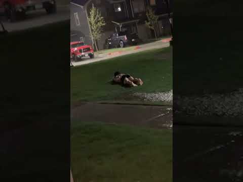 slip and slide