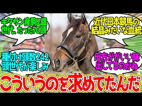 キタサン産駒 ← 来年からはさらに質も上がって数も増えるという事実…に対するみんなの反応！【競馬 の反応集】