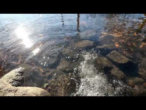 【1h】Peaceful Flowing River in Japan’s Countryside | Soothing Nature Sounds for Relaxation