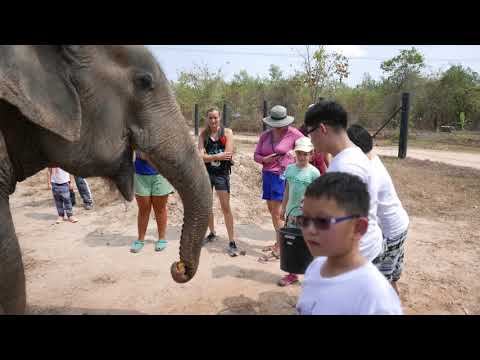 Travel Thailand  63