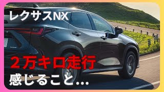 レクサスNX 走行距離２万キロ超えて思うこと...