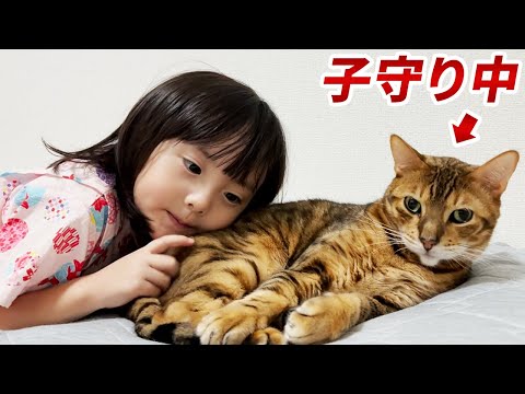 噛みつき猫たじたじ！？自由すぎる5歳娘のワールドに引きずり込まれる子守り猫の日常