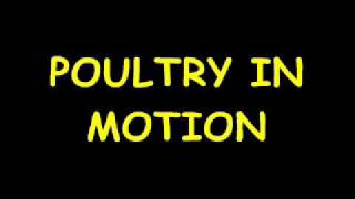 Poultry In Motion (Title Sequence Prototype)