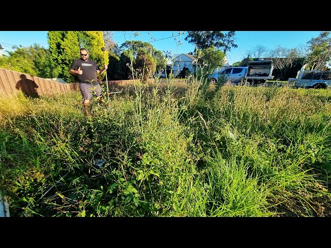 I TOOK ON this CRAZY MOWING Job As The Local Lawn Contractor WOULDN’T TOUCH IT