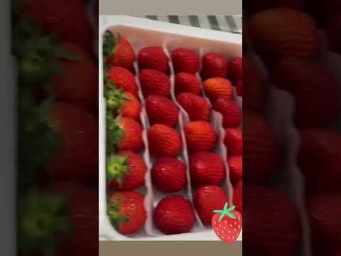 #strawberries #productofkorea