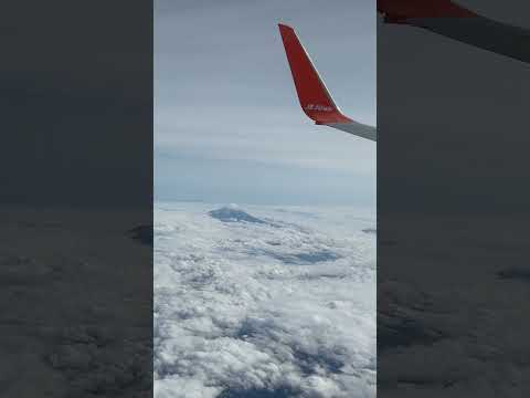 【釜山】チェジュ航空&富士山