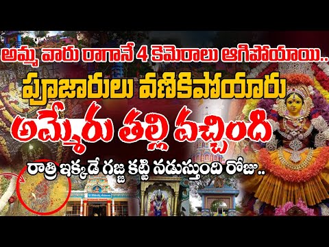 అమ్మేరు తల్లి వచ్చింది, పాదాన్ని చూసిన.. | Sri Nalla Pochamma Devalayam | Hyderabad | RED TV Telugu