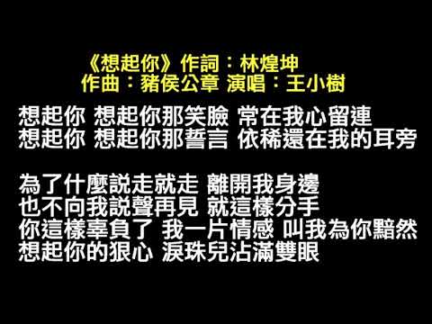 《想起你》王小樹