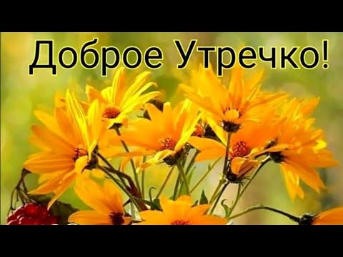 Доброе утро! #суперпеснядлянастроения