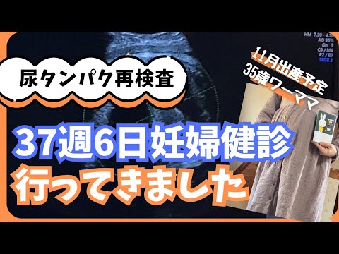 【エコー動画あり】37週6日（ほぼ38週）の妊婦健診に行ってきました