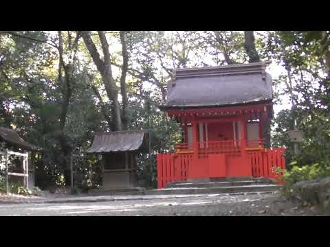 【自然観察】熱田神宮を徘徊してみた（愛知県）