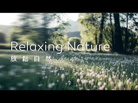 放鬆音樂Relaxing Music｜音樂組曲Musical Suite｜適合放鬆、休息、閱讀的BGM