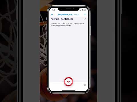 Sports - SoundHound Chat AI Demo