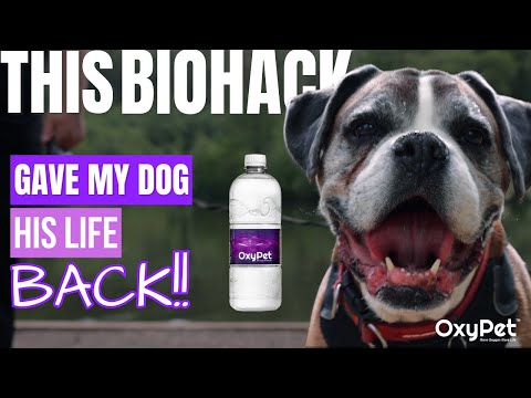 OXYPET | WILL & BRUCE | Testimonial