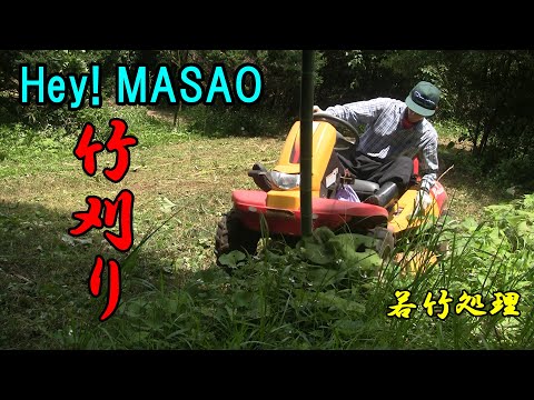 【竹刈り】Hey Masaoで竹を刈る