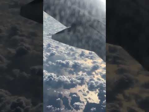 Airplane best view #viral #youtubeshorts #shorts