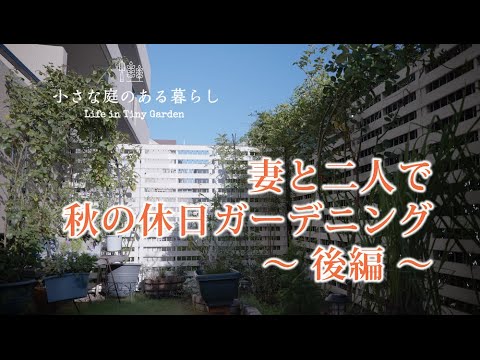 ガーデニング｜妻と二人で秋の休日ガーデニング（後編）｜ 〜小さな庭のある暮らし#91〜Gardening ｜ Life in a tiny garden