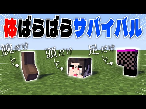 頭と足と手だけになってサバイバルしてみた！【マイクラ/カラダばらばらサバイバル】