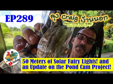 EP289 50 Meters of Solar Fairy Lights! and an Update on the Pond Cam Project!