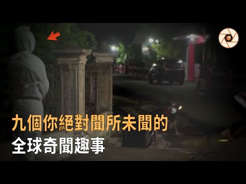 全球奇聞趣事：九個你絕對聞所未聞的（第①太奇葩！）