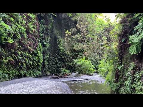 Fern Canyon, Randy "Windtalker" Motz, Native American style flute #ambientmusic