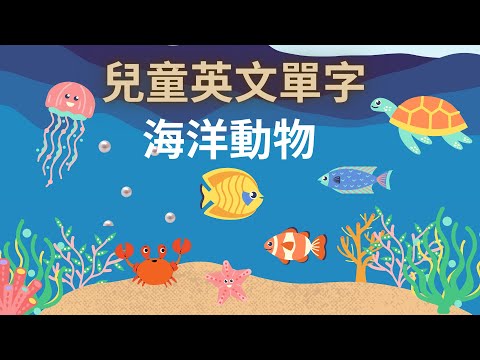 幼兒英文單字｜海洋動物｜海底動物｜動物英文｜兒童英文學習｜中英文單字｜雙語教育｜Sea Animals in Chinese