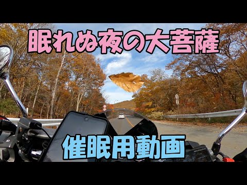 【CB1100EX】大菩薩ライン奥多摩方面下り　催眠動画【モトブログ】