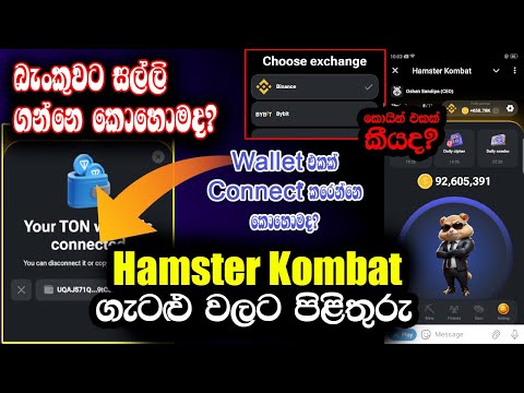 Hamster Kombat Withdraw New Steps | Hamster Kombat Updates Sinhala | Hamster Kombat Today News