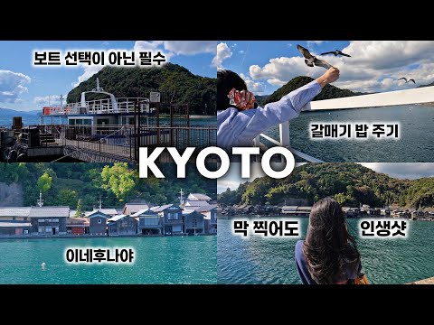 [일본 여행] 교토 이네후나야 여행 Vlog: 신비로운 수상가옥, 바다 경관, 그리고 감동의 순간