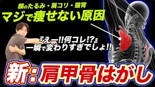 【新：肩甲骨はがし】一瞬でフェイスラインが引き上がってマ・ジ・で痩せ体質になるからやってみて