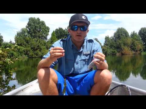 Summer Bass Fishing - Bitter Baits Salty Hog