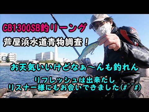 CB1300SB釣リーング  芦屋浜水道青物調査！