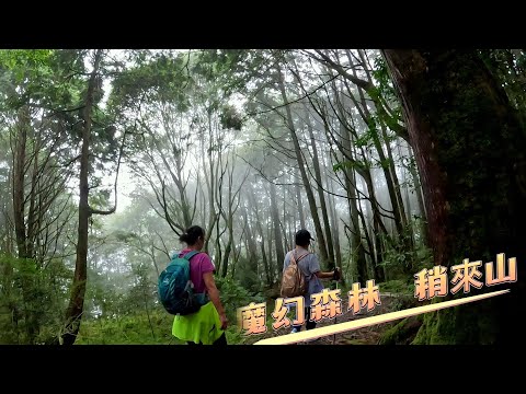 太美了!充滿魔幻般美景的[稍來山]位於台中市和平區的大雪山森林遊樂區@SINGFU