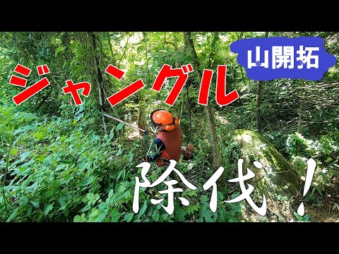 【山開拓】隣の土地を勝手に除伐してみたら大変な事になってた！！