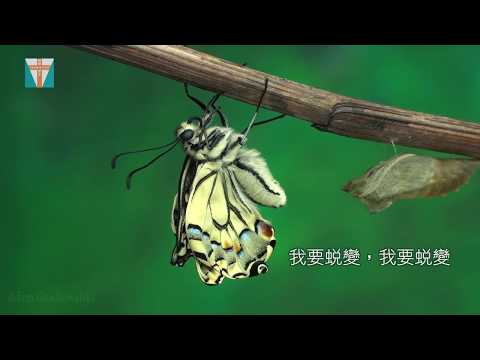 華語詩歌【蛻變】