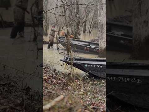 Chasing Ducks #duckhunting #futrellmarine #duckboat @reaperboats