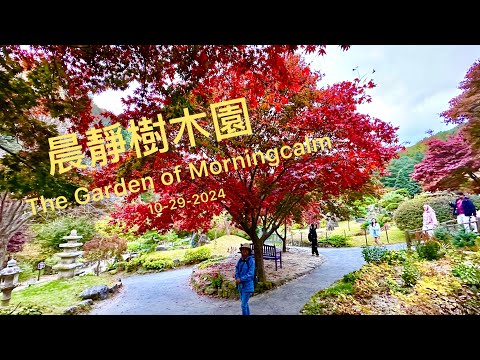 晨靜樹木園 / The Garden of Morningcalm on 10-29-2024 ( Day 6-C )