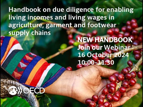 Launch of OECD Handbook on Living Income and Living Wage Due Diligence