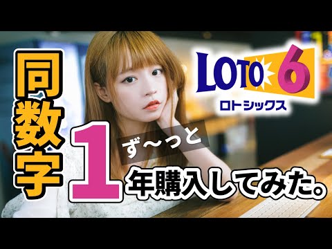 【長期検証】ロト6、同数字継続購入１年でわかったこと。