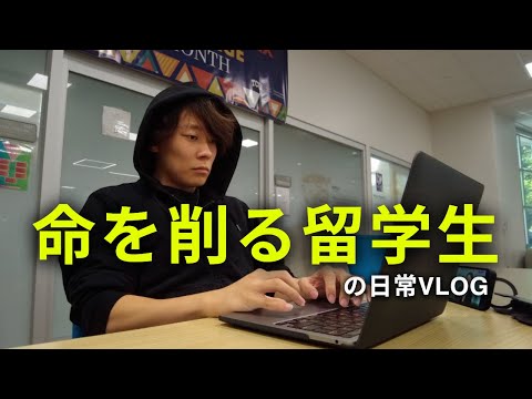 【地獄】限界まで追い込むアメリカ留学生の日常 ｜ アメリカ留学生 ｜ コミカレ留学 ｜ テキサス留学