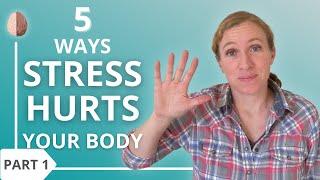 5 Ways Stress Hurts Your Body and What to Do About it (Part 1/3)