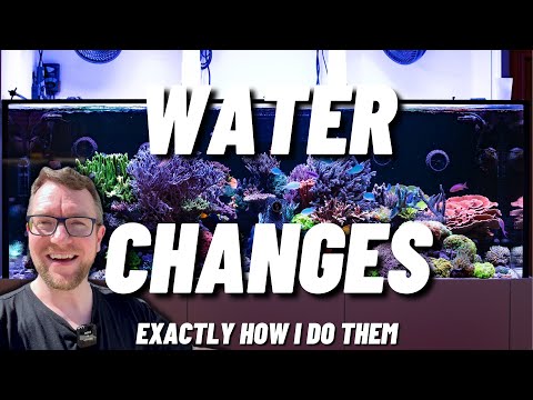 Water Changes - From Start to End on the Dream Reef