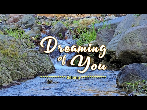 DREAMING OF YOU - (Karaoke Version) - in the style of Selena