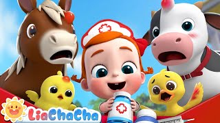 Boo Boo Farm Animals Song | Farm Animal Series Compilation | Kids Songs & Nursery Rhymes | LiaChaCha