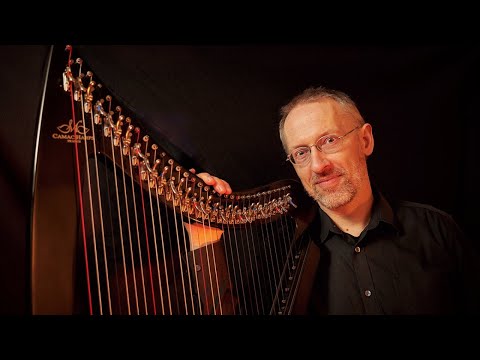 Ambient Harp Live Stream #05